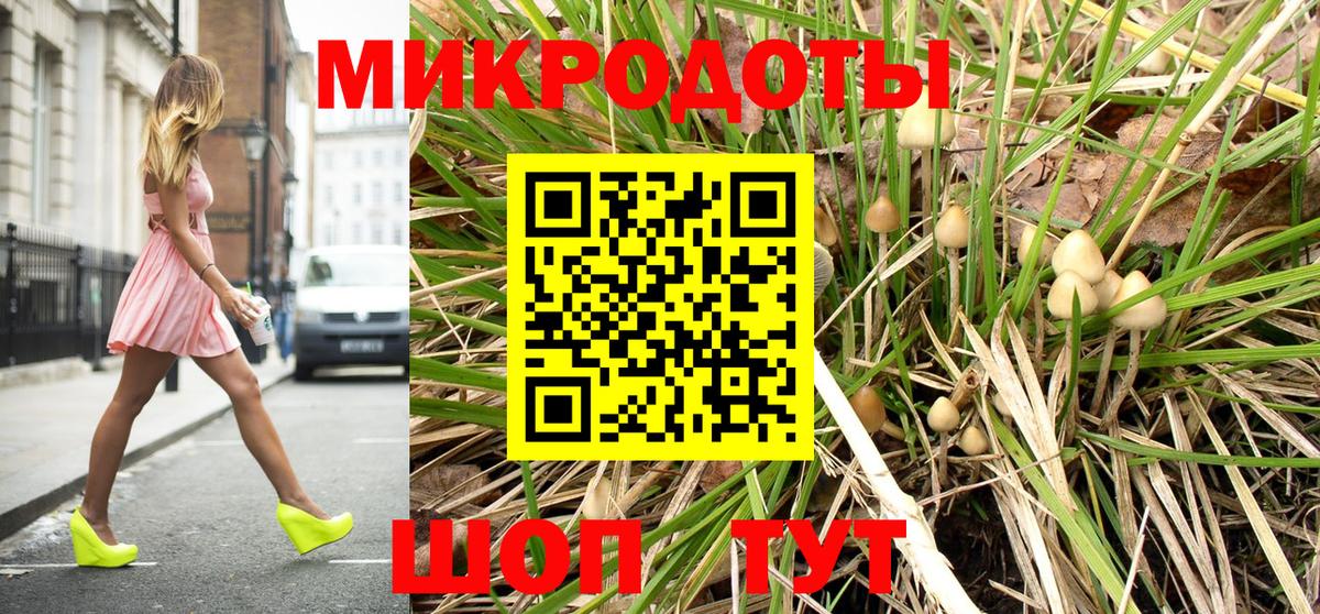 Карачаевск  цены   Вход с VPN  Галлюциногенные грибы Psilocybine cubensis 